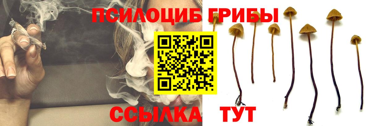 сколько стоит  Вход с VPN  Луховицы  Псилоцибиновые грибы прущие грибы 